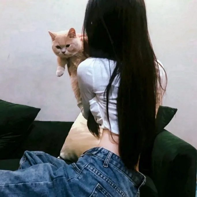 小马鞭